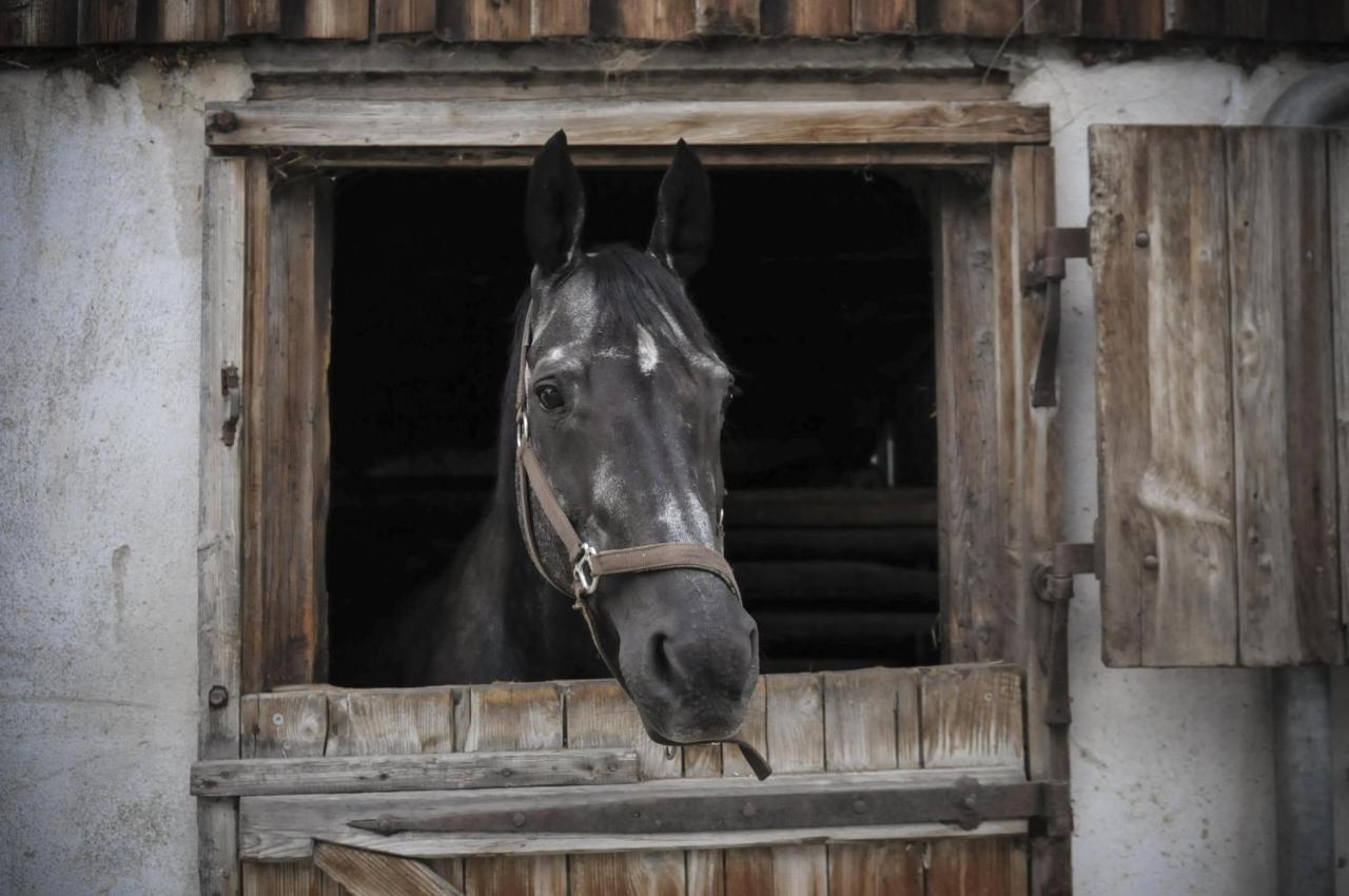 Ferienhof Metzler Bodnegg エクステリア 写真