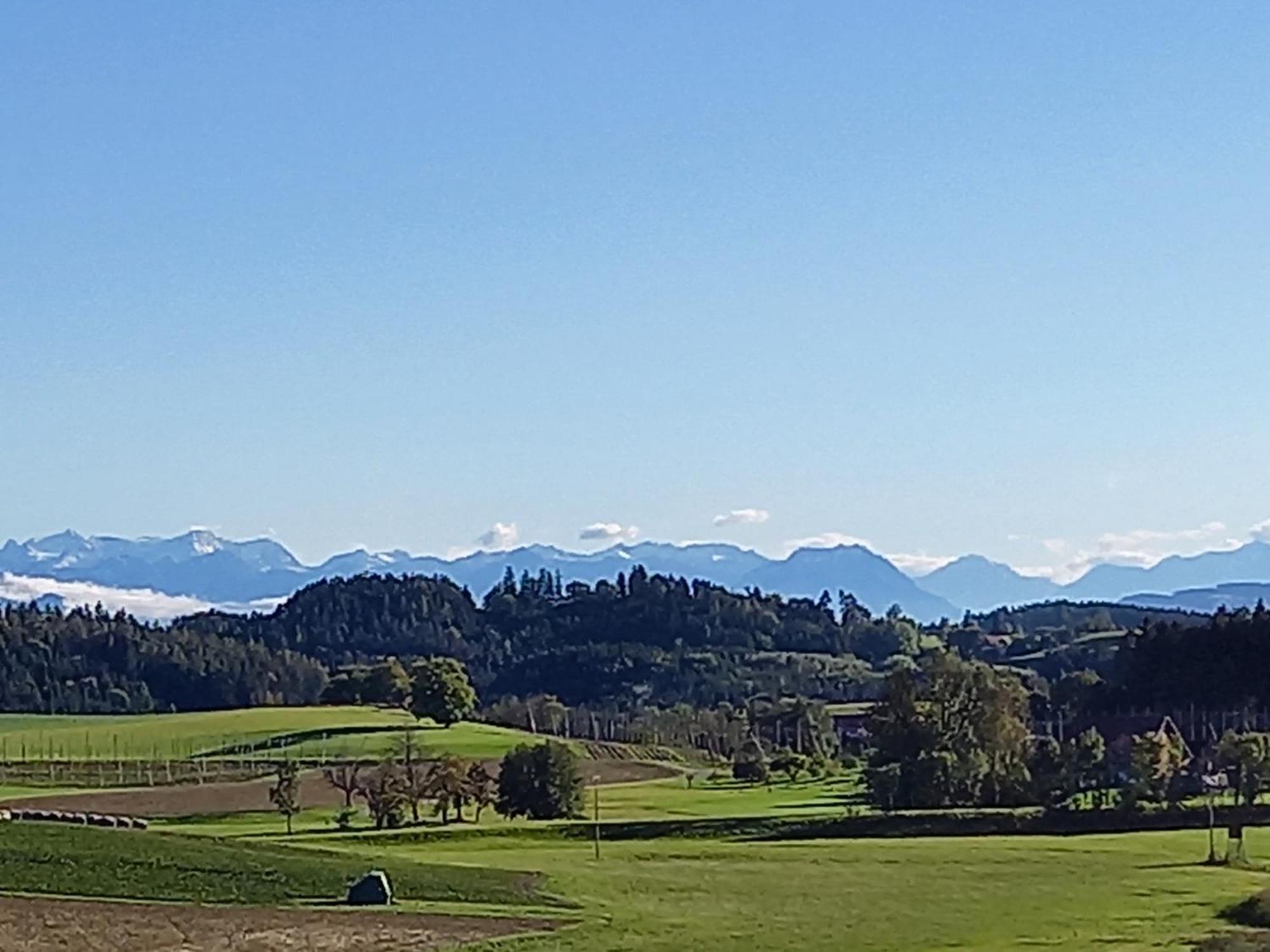 Ferienhof Metzler Bodnegg エクステリア 写真