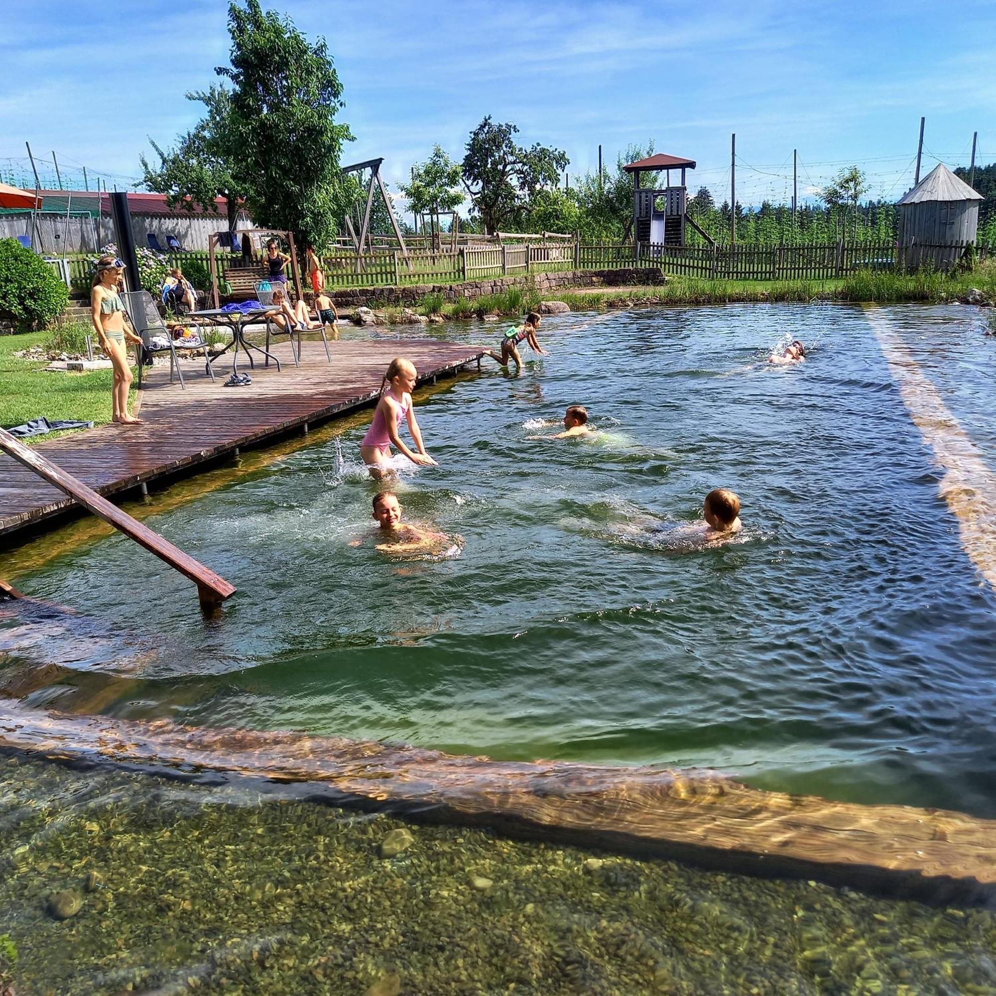 Ferienhof Metzler Bodnegg エクステリア 写真